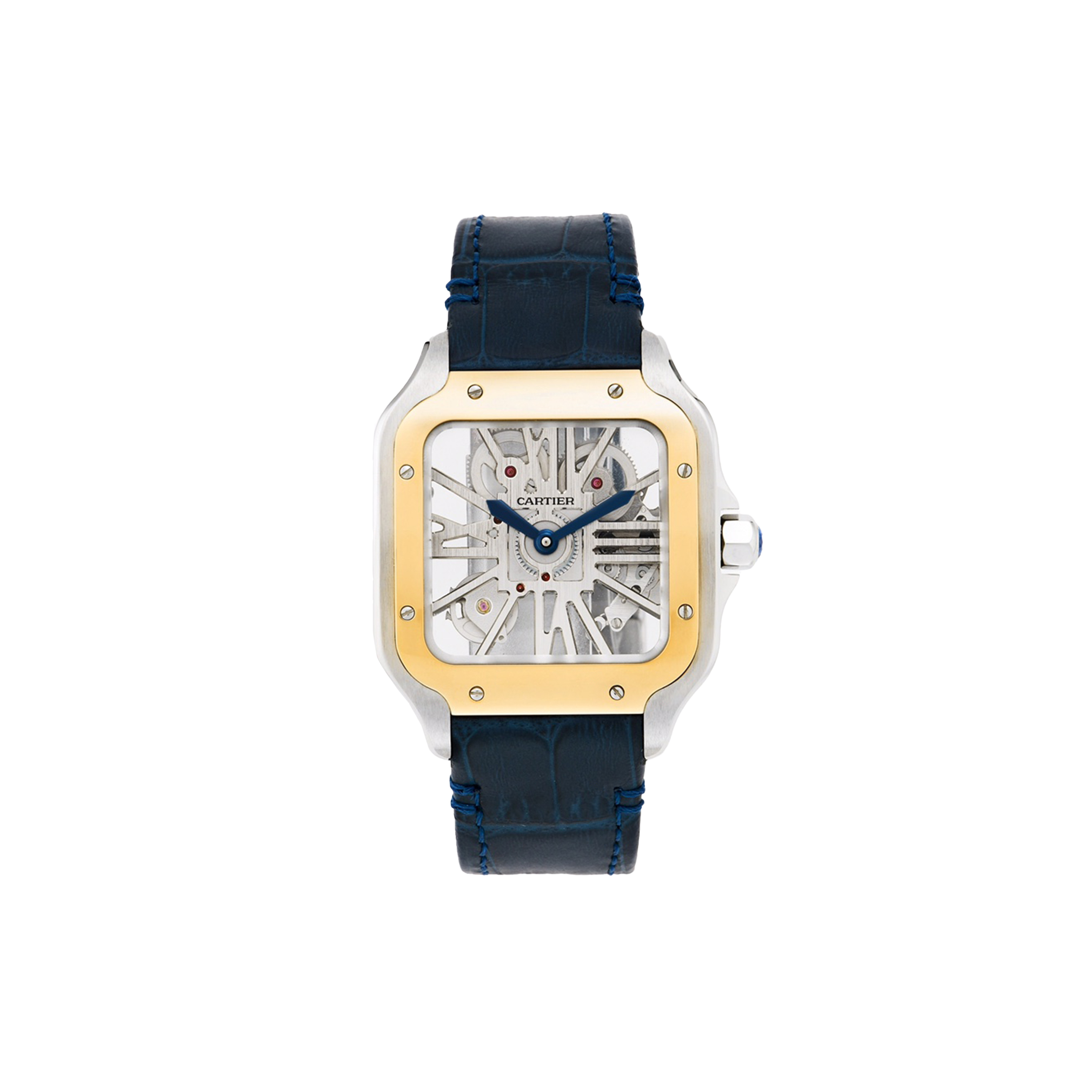 Ca*t*er santos de skeleton watch whsa0012